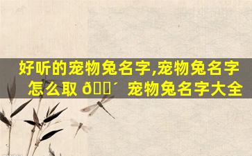 好听的宠物兔名字,宠物兔名字怎么取 🐴  宠物兔名字大全